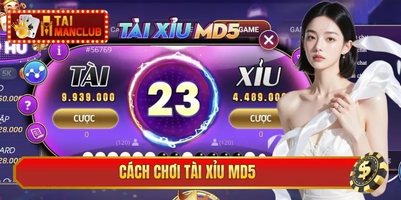 cách chơi Tài Xỉu MD5