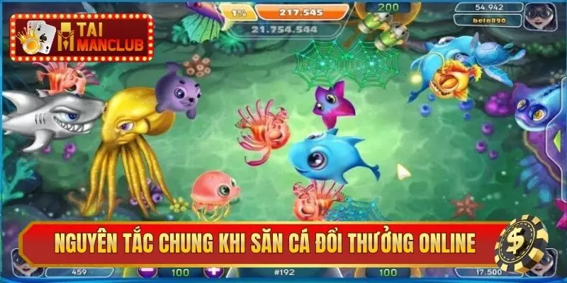 Nguyên tắc chung khi săn cá đổi thưởng online